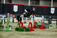 2025 - Shea - Royal West - Saturday October 25th - 12717