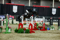 2025 - Shea - Royal West - Saturday October 25th - 12718