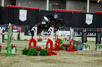 2025 - Shea - Royal West - Saturday October 25th - 12719