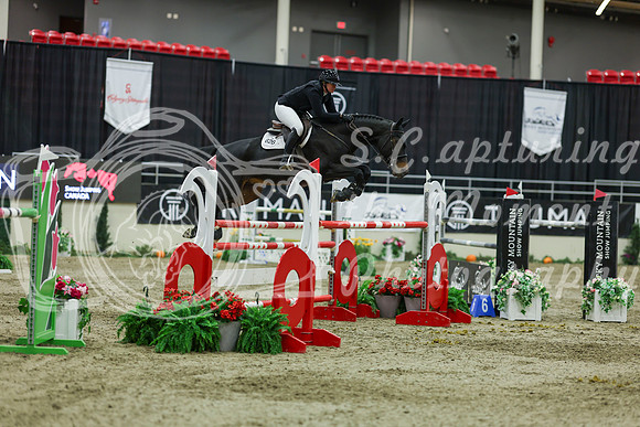 2025 - Shea - Royal West - Saturday October 25th - 12720