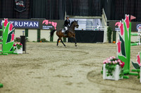 2025 - Shea - Royal West - Saturday October 25th - 11509
