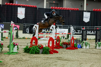 2025 - Shea - Royal West - Saturday October 25th - 11511