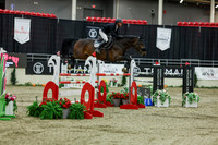 2025 - Shea - Royal West - Saturday October 25th - 11517