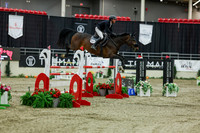 2025 - Shea - Royal West - Saturday October 25th - 11519