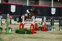 2025 - Shea - Royal West - Saturday October 25th - 12655
