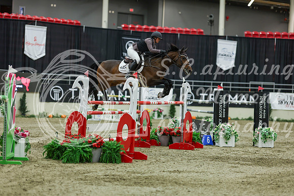 2025 - Shea - Royal West - Saturday October 25th - 12659