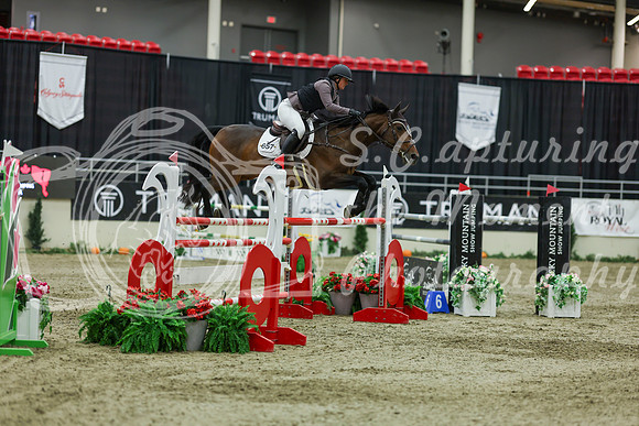 2025 - Shea - Royal West - Saturday October 25th - 12660