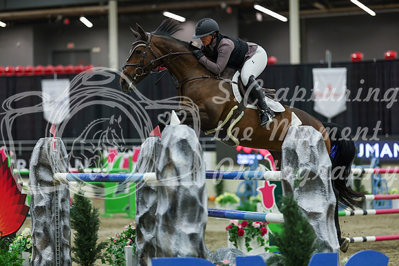 2025 - Shea - Royal West - Saturday October 25th - 12661