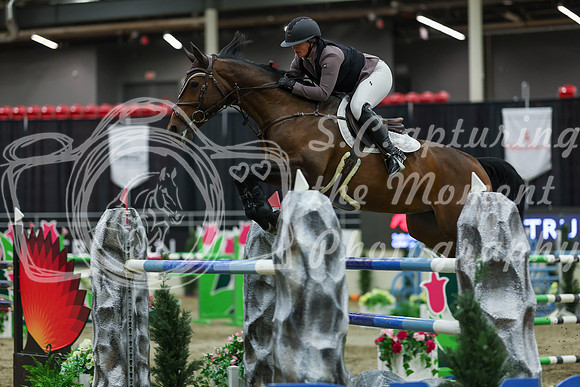 2025 - Shea - Royal West - Saturday October 25th - 12663