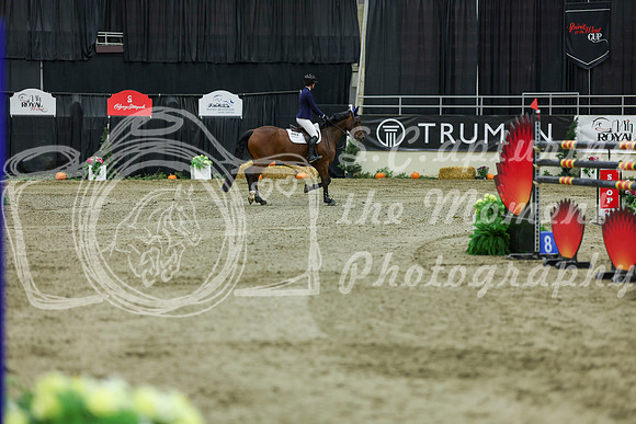 2025 - Shea - Royal West - Saturday October 25th - 11633