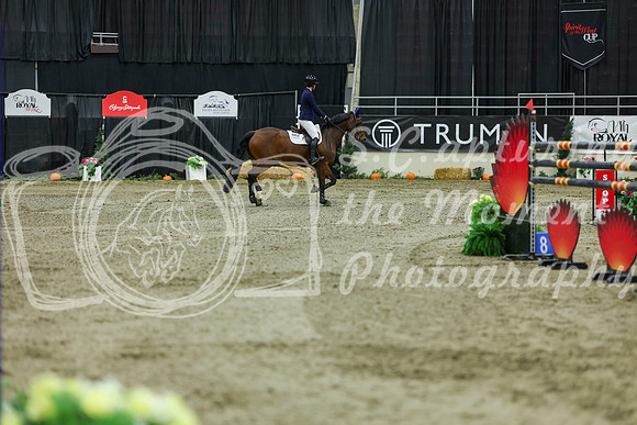 2025 - Shea - Royal West - Saturday October 25th - 11634