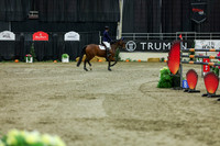 2025 - Shea - Royal West - Saturday October 25th - 11635