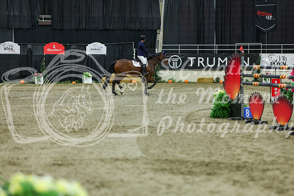 2025 - Shea - Royal West - Saturday October 25th - 11635
