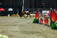 2025 - Shea - Royal West - Saturday October 25th - 11638