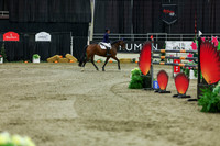 2025 - Shea - Royal West - Saturday October 25th - 11637