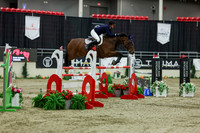 2025 - Shea - Royal West - Saturday October 25th - 11644