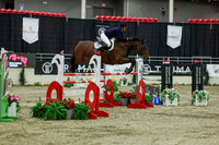 2025 - Shea - Royal West - Saturday October 25th - 11645