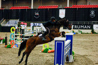 2025 - Haylee - Royal West - Saturday October 25th - 13158