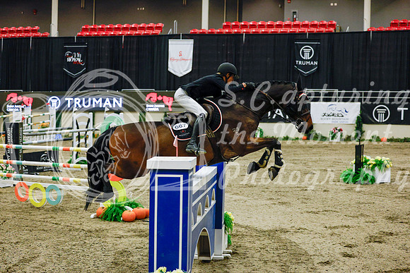 2025 - Haylee - Royal West - Saturday October 25th - 13165