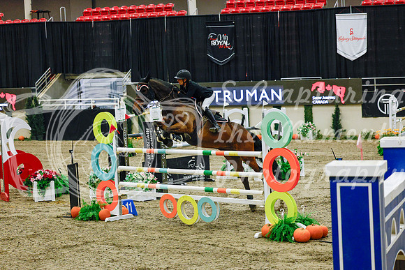 2025 - Haylee - Royal West - Saturday October 25th - 13170
