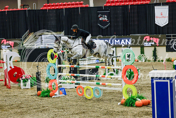 2025 - Haylee - Royal West - Saturday October 25th - 13356