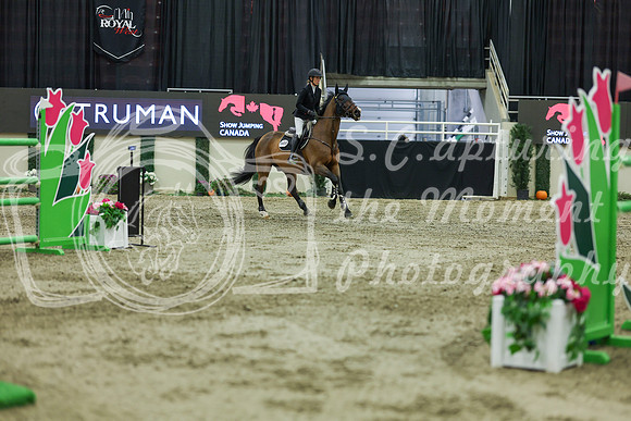 2025 - Shea - Royal West - Saturday October 25th - 12772
