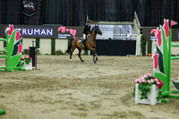 2025 - Shea - Royal West - Saturday October 25th - 12774