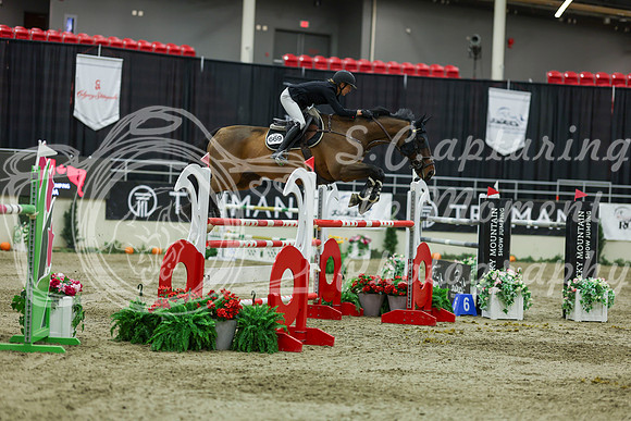 2025 - Shea - Royal West - Saturday October 25th - 12781
