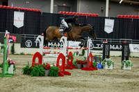 2025 - Shea - Royal West - Saturday October 25th - 12782