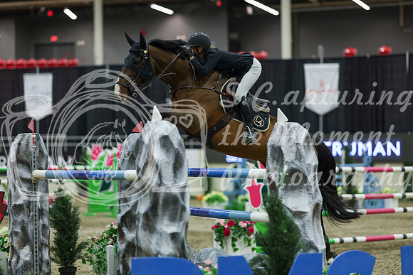 2025 - Shea - Royal West - Saturday October 25th - 12784