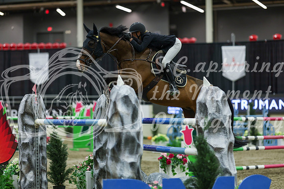 2025 - Shea - Royal West - Saturday October 25th - 12785