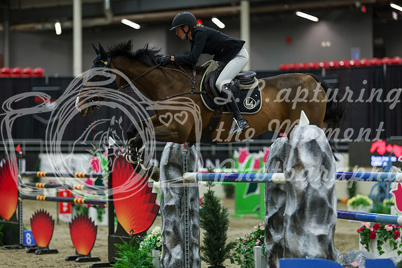 2025 - Shea - Royal West - Saturday October 25th - 12793