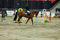 2025 - Shea - Royal West - Saturday October 25th - 11763