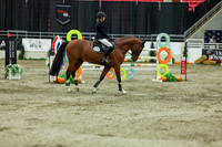 2025 - Shea - Royal West - Saturday October 25th - 11764