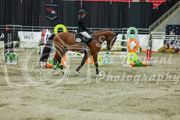 2025 - Shea - Royal West - Saturday October 25th - 11764