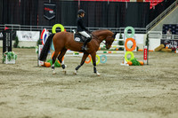 2025 - Shea - Royal West - Saturday October 25th - 11765