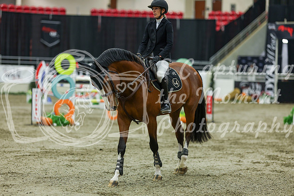 2025 - Shea - Royal West - Saturday October 25th - 11771