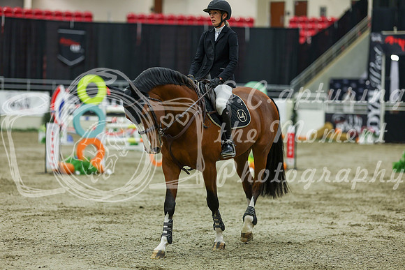 2025 - Shea - Royal West - Saturday October 25th - 11772