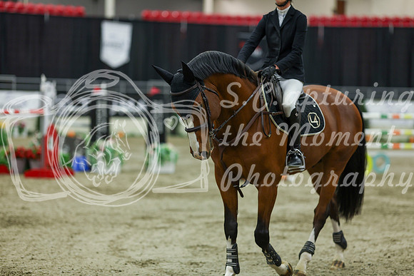 2025 - Shea - Royal West - Saturday October 25th - 11773