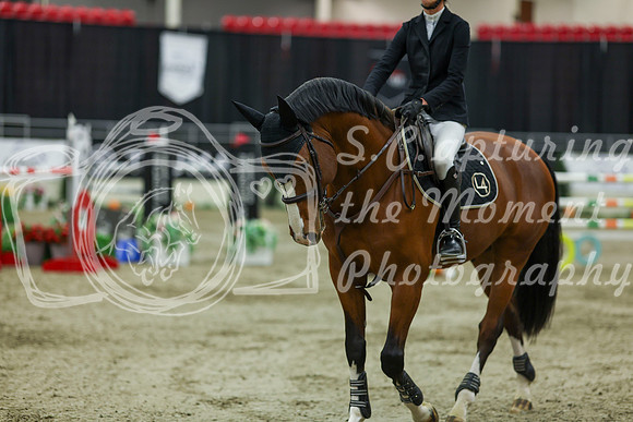 2025 - Shea - Royal West - Saturday October 25th - 11774