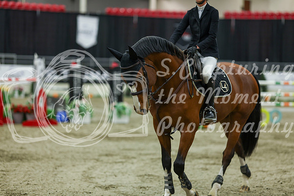 2025 - Shea - Royal West - Saturday October 25th - 11775
