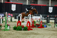 2025 - Shea - Royal West - Saturday October 25th - 11782
