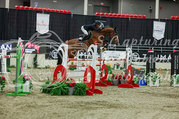 2025 - Shea - Royal West - Saturday October 25th - 11782