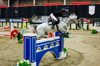 2025 - Haylee - Royal West - Saturday October 25th - 13061
