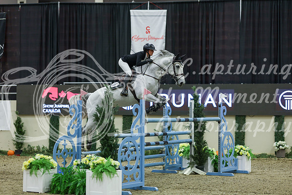 2025 - Shea - Royal West - Saturday October 25th - 11295