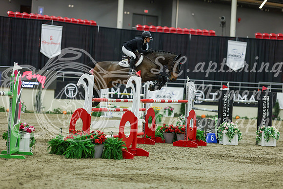 2025 - Shea - Royal West - Saturday October 25th - 12464