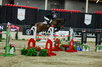 2025 - Shea - Royal West - Saturday October 25th - 12463