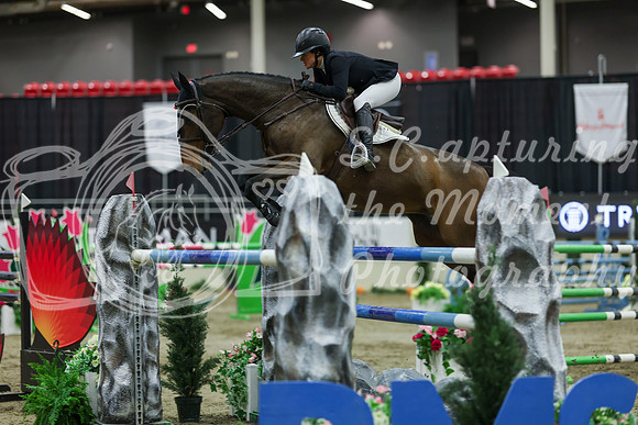 2025 - Shea - Royal West - Saturday October 25th - 12470