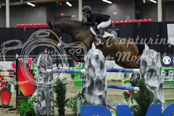 2025 - Shea - Royal West - Saturday October 25th - 12471