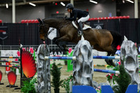 2025 - Shea - Royal West - Saturday October 25th - 12472